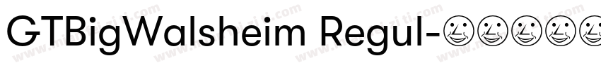 GTBigWalsheim Regul字体转换